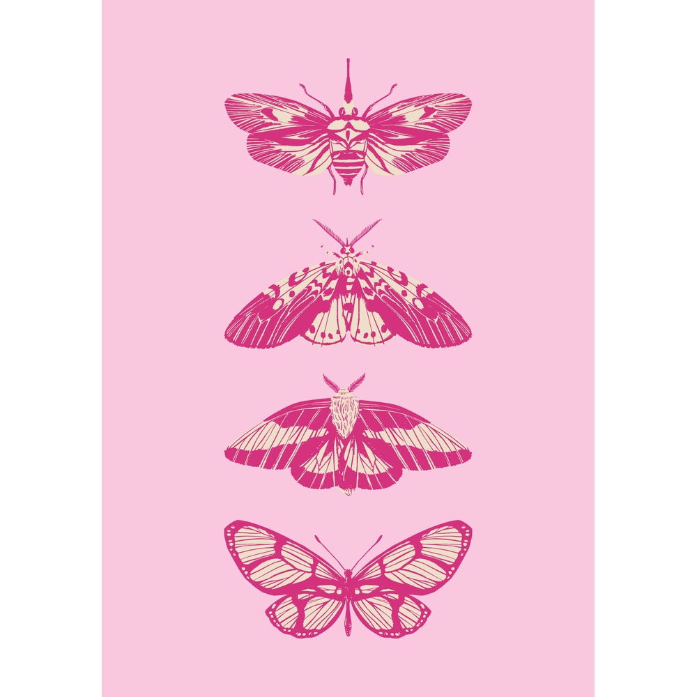 ΕΚΤΥΠΩΜΕΝΗ ΚΟΥΠΑ PINK MOTH ART PRINT 00766 - Image 2