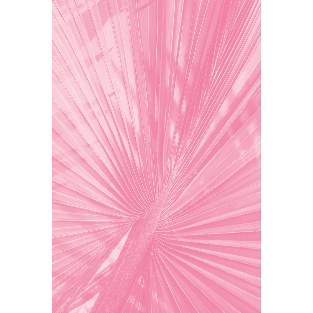 ΕΚΤΥΠΩΜΕΝΗ ΚΟΥΠΑ PINK PALM LEAF 00769 - Image 2